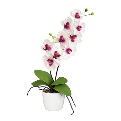 Orchidee Phalaenopsis 60 cm - Kunstpflanze Weiß-Lila im Topf 13 cm