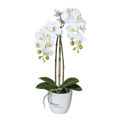 Miniphalaenopsis Orchidee 43 cm in Weiß - Kunstpflanze im Topf
