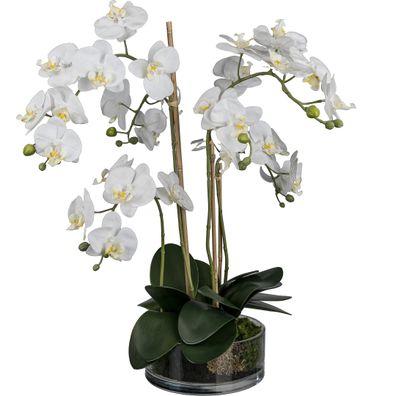 Phalaenopsis Orchidee im Glas, 50 cm, weiße Kunstblume für Deko