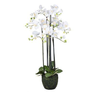 Orchidee im Erdballen 93 cm - Weiße "Real Touch" Kunstpflanze