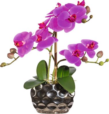 Phalaenopsis Orchidee lila 30 cm in eleganter Silbervase 13x6 cm
