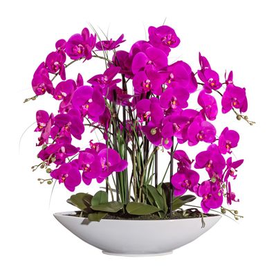 Phalaenopsis Orchidee 70 cm lila in weißer Keramikschale, Real Touch