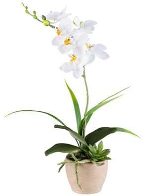 Phalaenopsis Kunstpflanze 45cm, 6 Blüten im Zementtopf, weiß