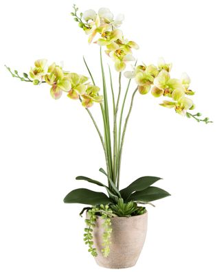 Phalaenopsis Kunstpflanze 55cm, 18 Blüten, Zementtopf 13x12cm