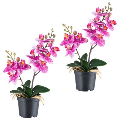 2er Set Phalaenopsis Orchideen 28 cm - Realistische Kunstpflanzen