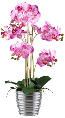 Phalaenopsis Orchidee 62 cm - Real Touch Kunstpflanze im Keramiktopf
