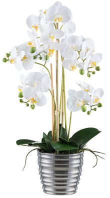 Phalaenopsis Orchidee 62 cm Weiß im Silber Keramiktopf - Kunstpflanze