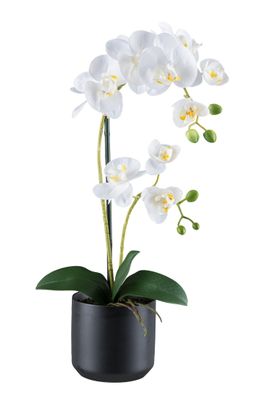 Phalaenopsis Orchidee 50 cm in schwarz-weiß Keramiktopf, Real Touch