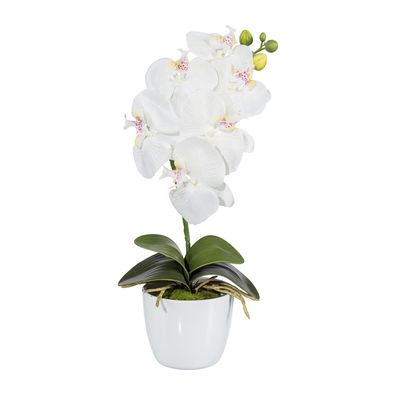 2er Set Phalaenopsis Kunstpflanze 40cm Weiß im Keramiktopf 11cm