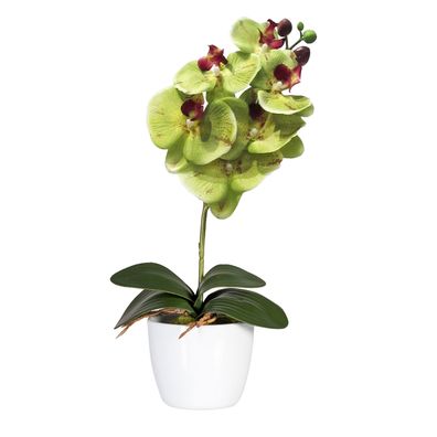2er Set Phalaenopsis Orchidee 40cm im Keramiktopf 11cm – Kunstpflanze