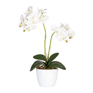 2er Set Phalaenopsis Orchidee 50 cm, weiße Kunstpflanze im Topf
