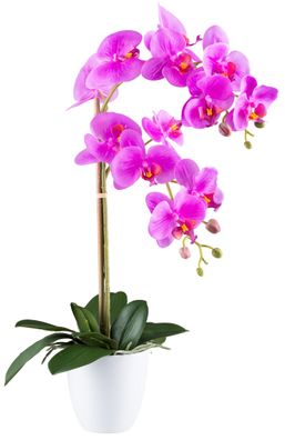 Phalaenopsis Orchidee 56 cm lila RealTouch mit Melamintopf 12x12 cm