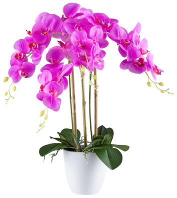 Phalaenopsis Orchidee 62 cm lila Real Touch im weißen Topf