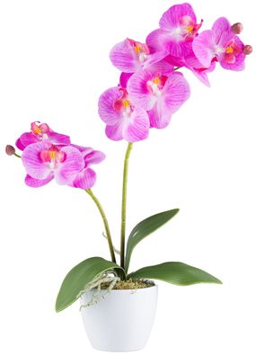 Phalaenopsis Orchidee 9 Blüten 57 cm RealTouch in weißem Topf