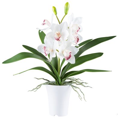 Cymbidie Kunstpflanze 53 cm, 6 Blüten, RealTouch, Melamintopf Weiß