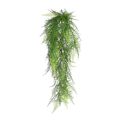 Asparagus plumosus Hänger Set 6 Stück, 80 cm grüne Deko-Pflanze