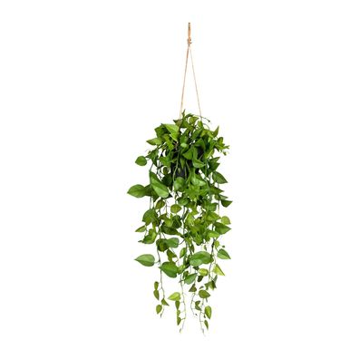 Philodendronhänger 75 cm – Grüne Kunstpflanze im Hängetopf 12x11 cm