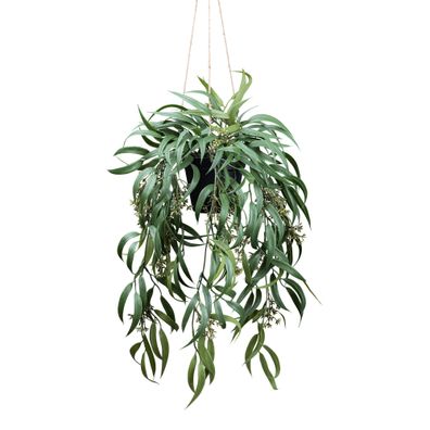 Eukalyptus globulus Kunstpflanze 65 cm in Kunststoffampel 12x11 cm
