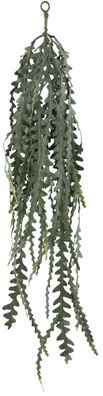 2er Set Epiphyllum anguliger Hänger Kunstpflanze 100 cm grün-grau