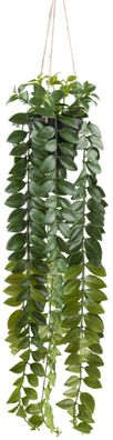 Columnea Hänger Kunstpflanze 85 cm in Grün mit Hängetopf 12,5 cm