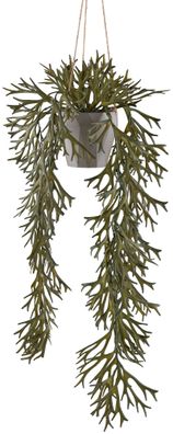 Geweihfarn 70 cm in Olivgrün - Kunstpflanze im grauen Topf 10,5 cm