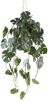 Splitphilodendron Variegata 80 cm Kunstpflanze in Hängeampel 12x11 cm