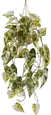 Syngonium Albo Variegata Kunstpflanze 80cm in Korbhängeampel 15x10cm