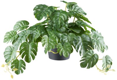 Künstlicher Splitphilodendron Hängepflanze 24x40 cm, 46 Blätter grün