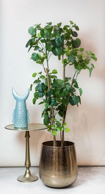Kunstpflanze Polyscias Aralia 160 cm – Ideal für jede Raumdekoration, pflegeleicht un