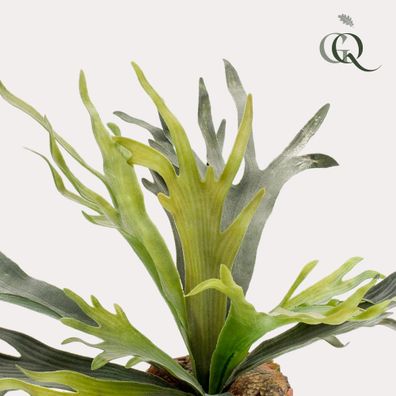 Kunstpflanze Staghorn Farn – Geweihfarn 50 cm – Dekorativ & Pflegeleicht für Ihr Zuha