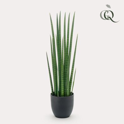 Kunstpflanze Sansevieria Cylindrica Frauenzunge 70 cm - Pflegeleicht und immergrün fü
