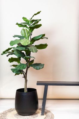 Kunstpflanze Ficus Lyrata (Tabakspflanze) - 125 cm Hochwertige Deko für Ihr Zuhause