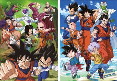 Dragon Ball - Son-Goku und seine Freunde