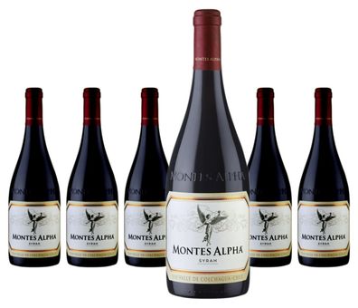 6 x Montes Alpha Syrah – 2022