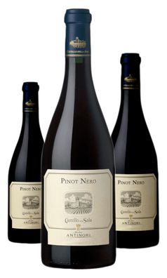 3 x Castello della Sala Pinot Nero Umbria IGT – 2022