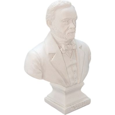 Kleine Büste Louis Pasteur 12,5cm französischer Chemiker und Physiker