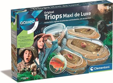 Clementoni Galileo Lab Triops Maxi de Luxe, Züchten & Beobachten: Urzeitkrebse