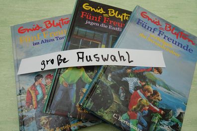 Enid Blyton 5 Freunde Bertelsmann 90er 2000er Jahre Wolfgang Hennecke