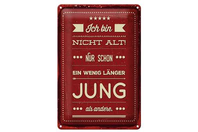 Blechschild Spruch 12x18 cm Ich bin nicht alt Schild