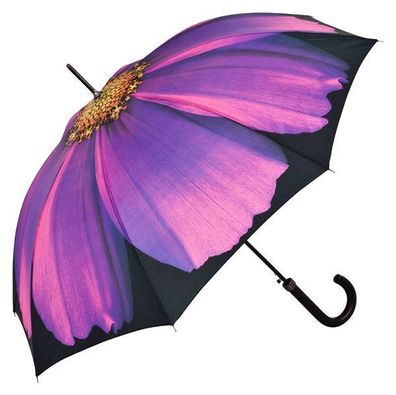 Regenschirme Kosmee Automatikschirme Stockschirme Schirme Blume Blumen Schirm