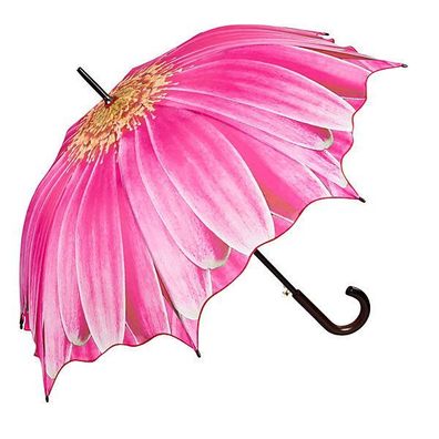 Regenschirme Anemone pink Automatikschirme Stockschirme Schirme Blumen Blume