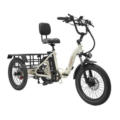 OT30 Foldable Electric tricycle E-Bike 20 * 3" 48V 500W motor