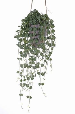 Ceropegia Chinesische Lampionblume 70 cm Kunstblume Seide Kunstblume Driesprong