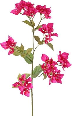 Bougainvillea spectabilis mit 5 Sporen Kunstblume Seide Kunstblume Driesprong co