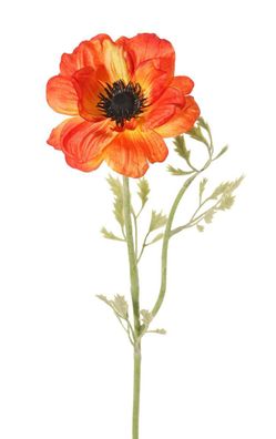 Anemone nora 1 Blume h53 cm orange Kunstblume Seide Kunstblume Driesprong collec