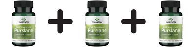 3 x Full Spectrum Purslane, 400mg - 60 vcaps