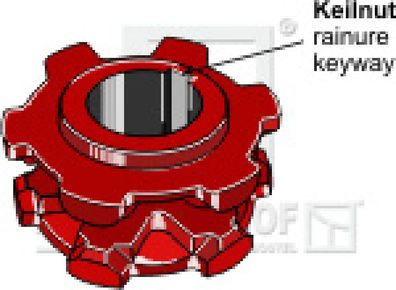 Kettennuss Kettenteilung 10 X 28 mm Zähne 6 Keilnut 10 mm Ø125mm