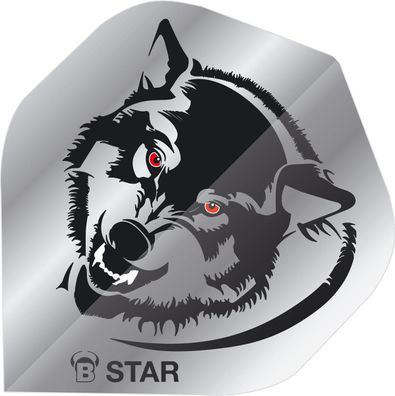 BULL'S B-Star Flights / 12 Satz / A-Standard