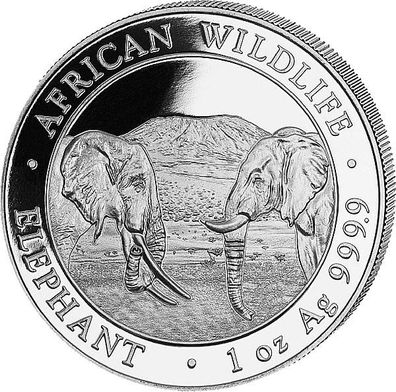 Somalia Republik 2020 - Elefant 1 Oz Silber*