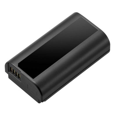 Panasonic DMW-BLJ31 - Batterie - Li-Ion - 3100 mAh - 23 Wh - für Lumix DC-S1M
